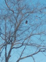 IMG_20200108_101241752.jpeg
