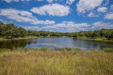 Pond2.jpeg