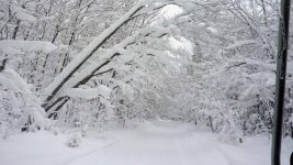 trailsnow843.jpg