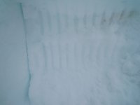 DSCN3131.JPG