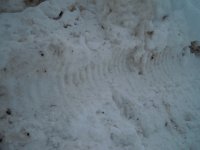 DSCN3132.JPG