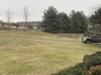 IMG_3412.JPG