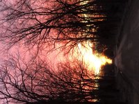 IMG_2598.JPG