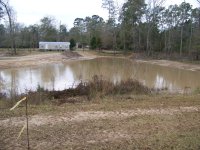 1-11-20 Pond Almost Full After 1.25 Inch Rain.jpg