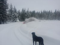 20200111_Snowblower_3.jpg 20200111_Snowblower_3.jpg