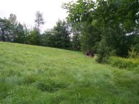 field3.JPG