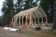 Shed with Purlins.JPG