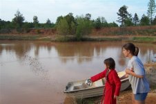 865840-Pond 004 (Small).jpg