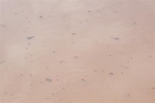 865843-Pond 009 (Small).jpg
