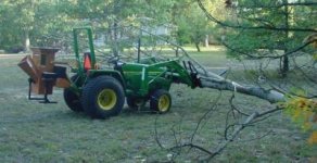 823523-J.D & Tree.jpg