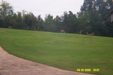 DCP_0046.JPG