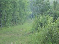 DSC00009 (Medium).JPG