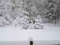 823934-ne1.jpg