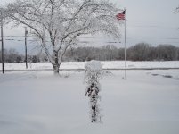 823936-ne2.jpg