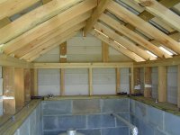 DSC00035 (Medium).JPG