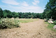 Cleared Field.jpg