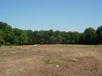 Field cleared 2.JPG
