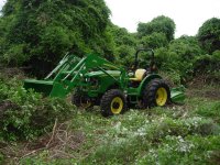 JD & overgrowth.JPG