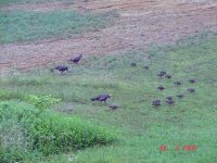 06Turkey26A.jpg