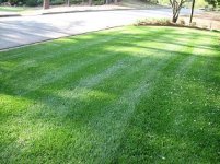 879062-turf2.JPG