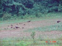 06Turkey35A.jpg