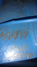 IMG_20191219_064314158.jpeg