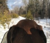 RugerSnowsled.jpg