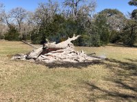 IMG_1361.jpg