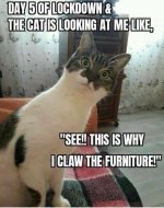 67A84175-D672-4A83-BB07-0B4247C34B61.jpeg