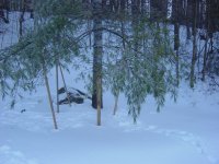 DSC00138.JPG