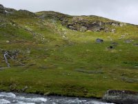 IMG_20170718_131641.jpg