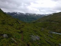 IMG_20170718_114811.jpg