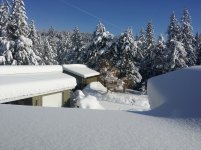 20200113 Snow Photos 1.jpg