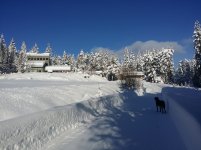 20200113 Snow Photos 3.jpg