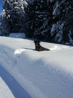 20200113 Snow Photos 4.jpg