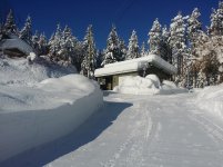 20200113 Snow Photos 5.jpg