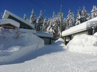 20200113 Snow Photos 6.jpg