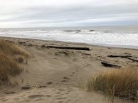Bandon beach via mile long trail.jpg