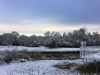 IMG_1633.jpg