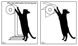 CatToiletPaper.png
