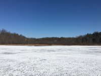 1107EAC0-BC9F-4FFD-9CA7-7EF5FF033296.jpeg