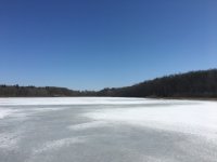 8BE25678-B2A8-4D6A-8F54-37B3F8260FEB.jpeg