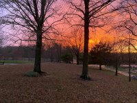 PJS sunset 20200319.JPG