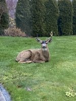 IMG_2140.jpg