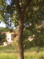IMG_3642.JPG