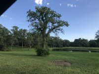 IMG_1795.jpg