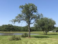 IMG_1804.jpg