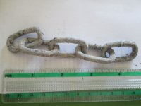 Chain.jpg