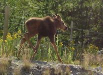 trail trip 044.jpg