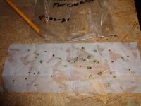 DSC00459.JPG
